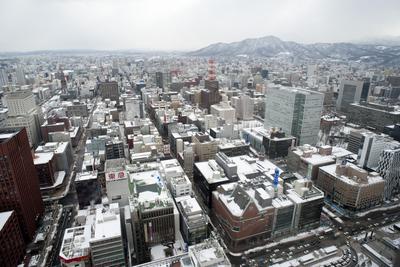 Sapporo from Above