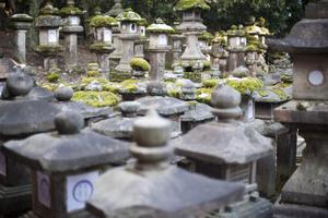 Kasuga Taisha Lanterns