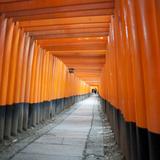 red torii gates kyoto