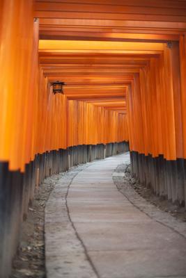 empty torii gate path