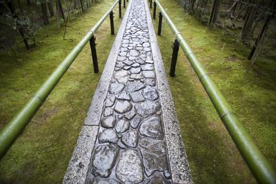 Zen Temple Path