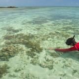 Skindiver swimming in a tropical sea