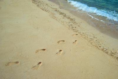 Footprints leading out of the sea