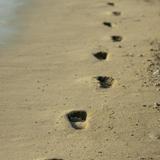 Footprints alongside the sea