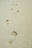 Barefoot footprints on sand