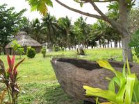 Traditional Fijian drum or lali