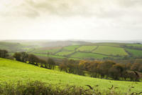 Cornish Countryside