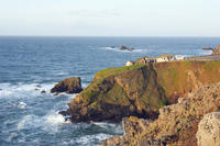 lizard point