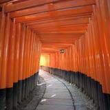 Red Torii Gates Japan