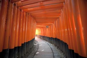 Red Torii Gates Japan