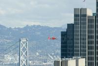 bay bridge flight