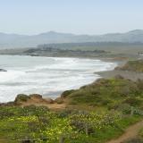 Central Coast Beachs