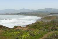 Central Coast Beachs