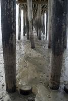 Underneath Cayucos Pier