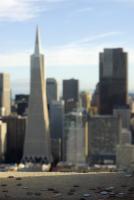 coit tower coins