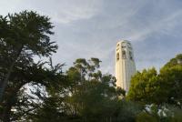 coit tower