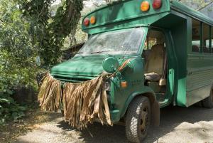 Grass skirt bus