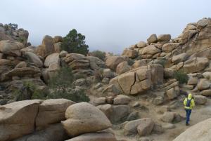 joshua tree rocky landscape