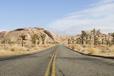 joshua tree park road