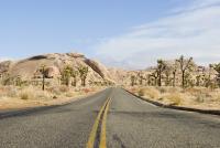 joshua tree park road