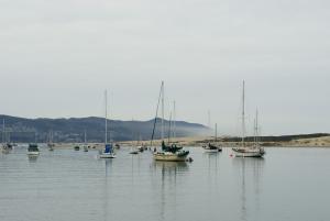 morro bay boats