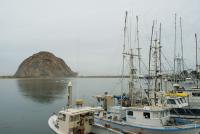 morro bay harbour