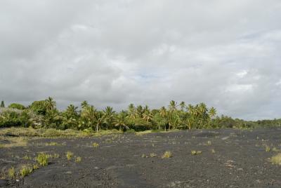Kalapana Lava Field