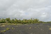 Kalapana Lava Field