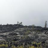 Volcanic Lava Field