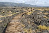 Puu Loa Board Walk