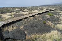 Puu Loa Petroglyphs