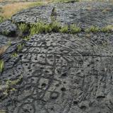 Puu Loa Petroglyphs