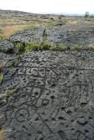 Puu Loa Petroglyphs