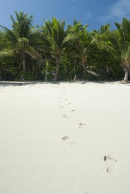 Footprints across a tropical beach