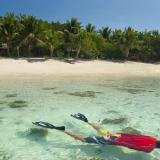 Snorkeller off a tropical island
