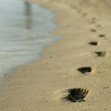 Footprints in wet beach sand