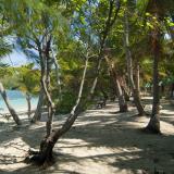 Fijian beachfront bures