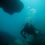 People deep sea scuba diving