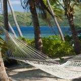 Empty tropical hammock