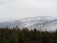 mount washington