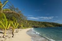 Empty beach with golden sand