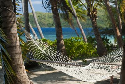 Empty tropical hammock