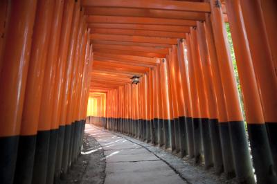 Tunnel of red torii gates