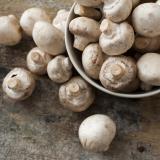 Fresh white button or field mushrooms