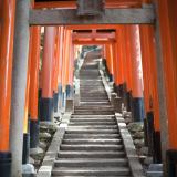 Torii gates at the Fushimi Inari-taisha