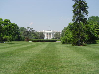 the whitehouse