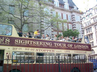 sightseeing bus