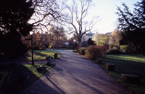 york park