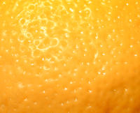 lemon skin