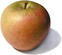 apple